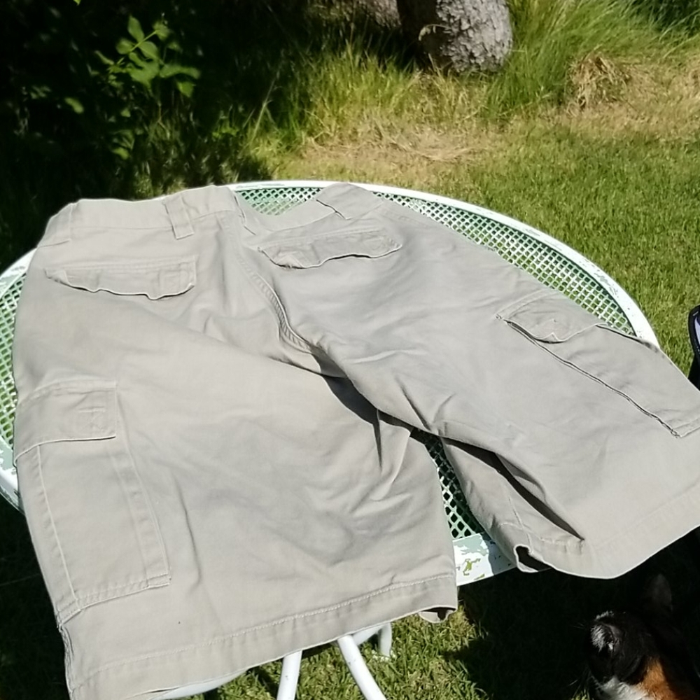 👖SHAVER LAKE CARGO SHORTS - Picture 4 of 11
